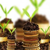 Reducing Environmental Impact Reducing Environmental Impact